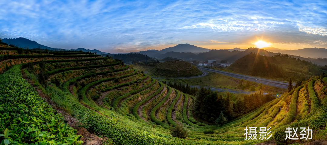 万阳红茶旅文化园